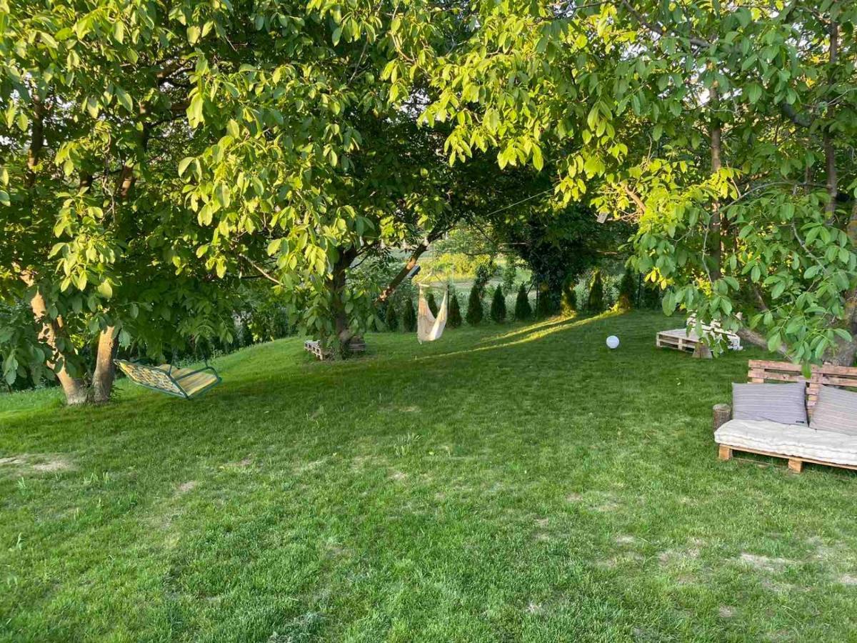 Todor Boutique House Villa Sremska Kamenica Ngoại thất bức ảnh