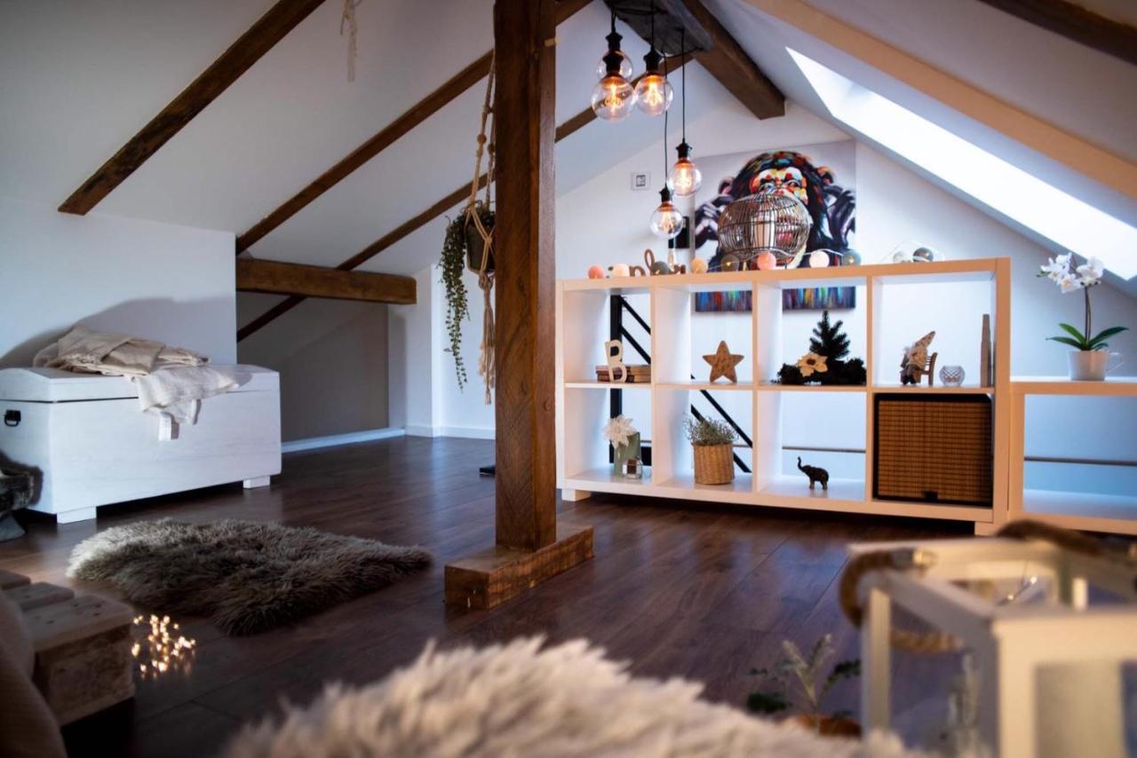Todor Boutique House Villa Sremska Kamenica Ngoại thất bức ảnh