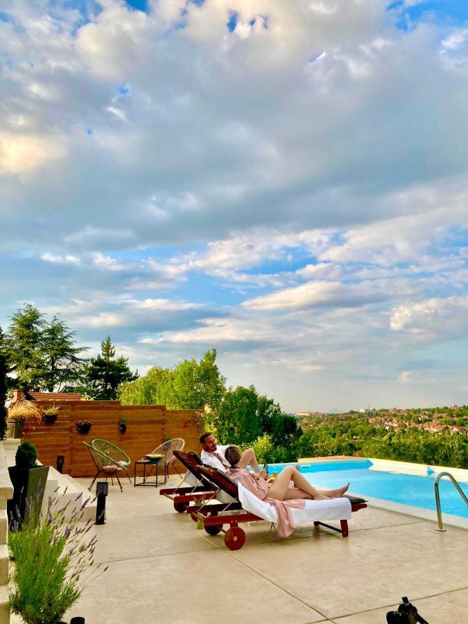 Todor Boutique House Villa Sremska Kamenica Ngoại thất bức ảnh